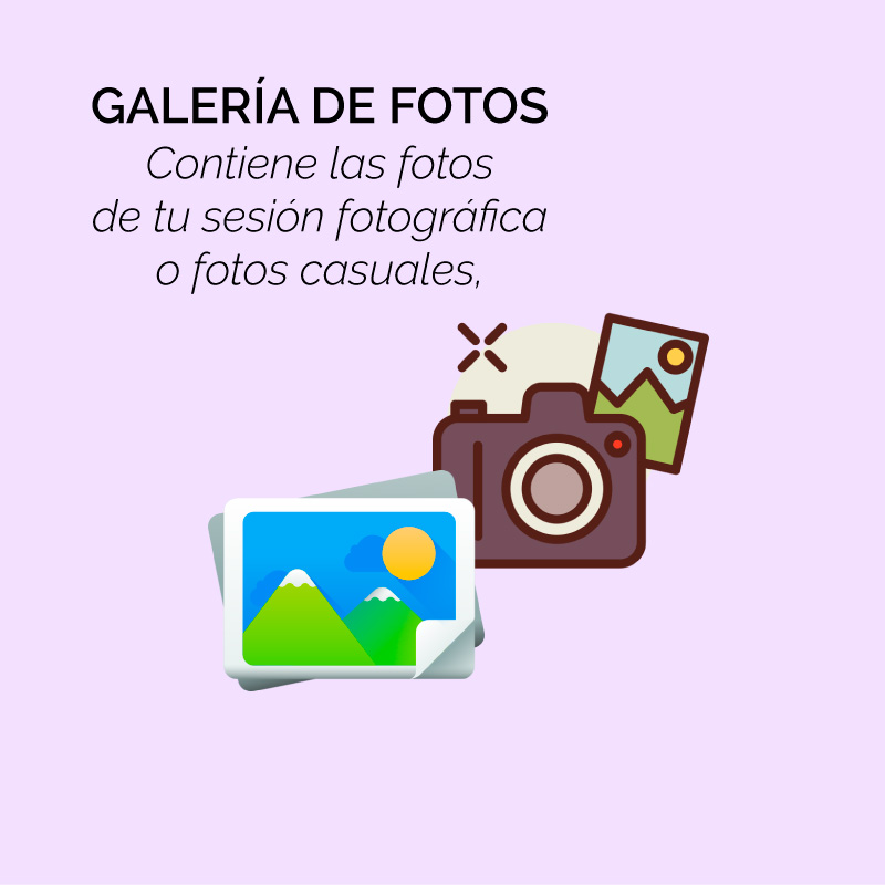 cuadro-descriptivo-galeria